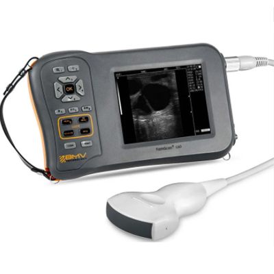 s10 ultrasound scanner