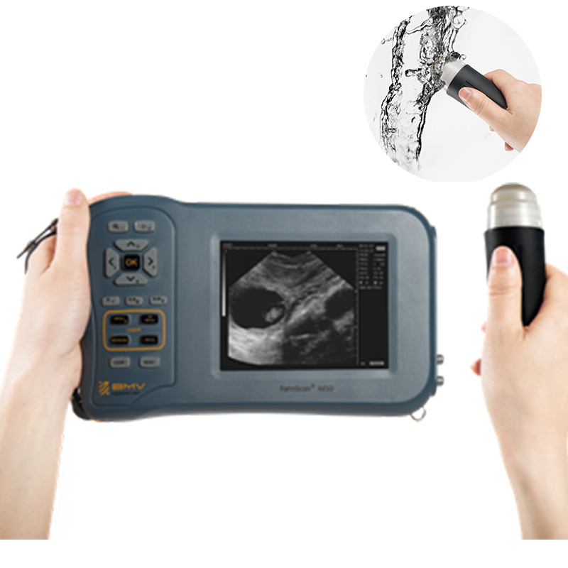 M50 ultrasound
