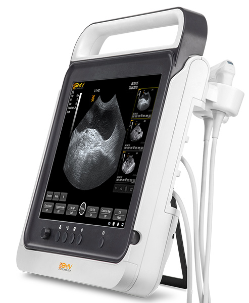 pt50a vet ultrasound 3 probes